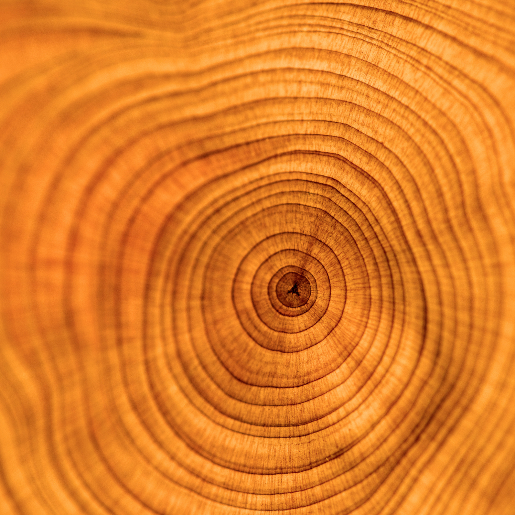 sri-lankan-sandalwood-oil-heartwood-artisanal-distilled